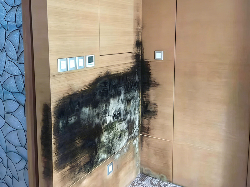 墙板导致发霉