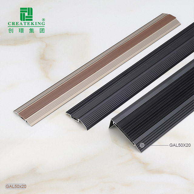 20x50mm 带橡胶嵌件的楼梯边缘突缘装饰件